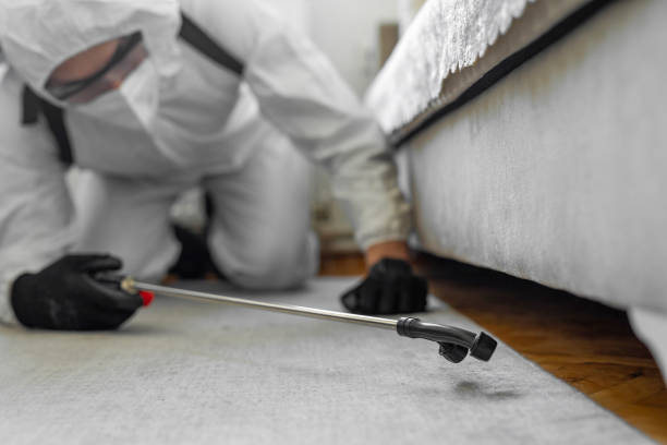 Professional Termite Control technician working in Petal, MS