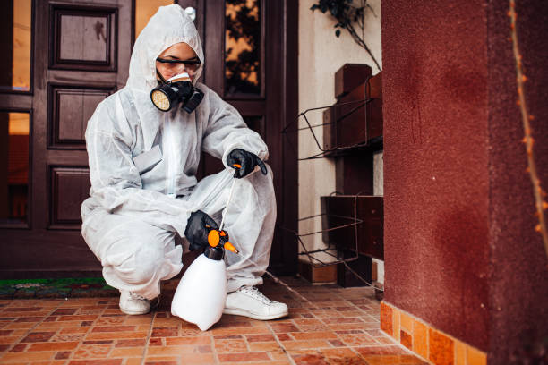 Reliable Termite Control contractor in Petal, MS by Nex Pest Control